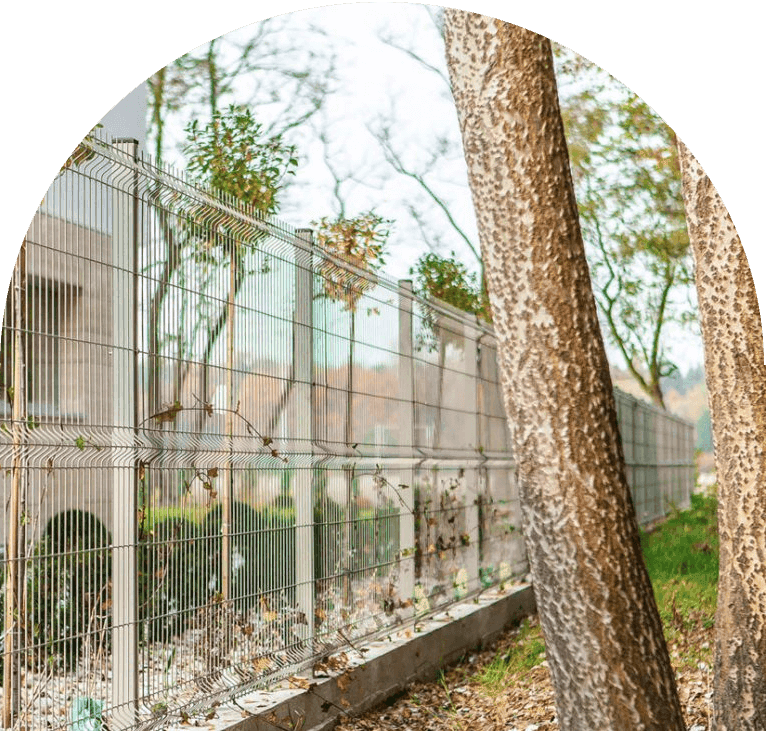 Grillage rigide Robex